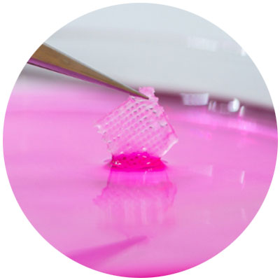 A macro image of a grid structure being pulled from a pink liquid with tweezers