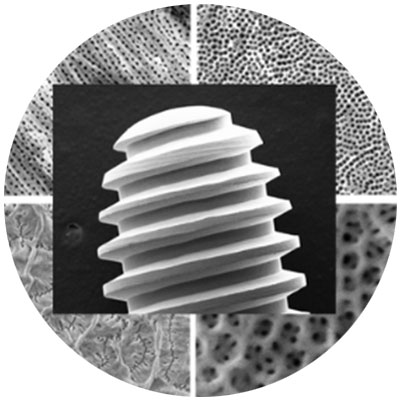 Black and white microscopic image of a screw like object